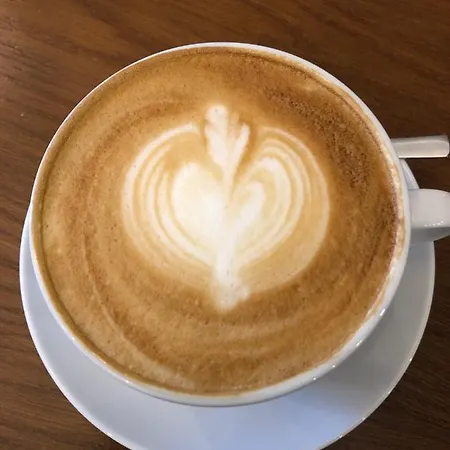 호텔 Palac Borynia 3*