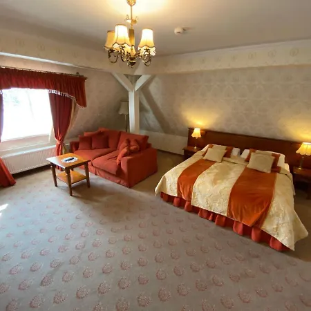 Hotel Pałac Borynia