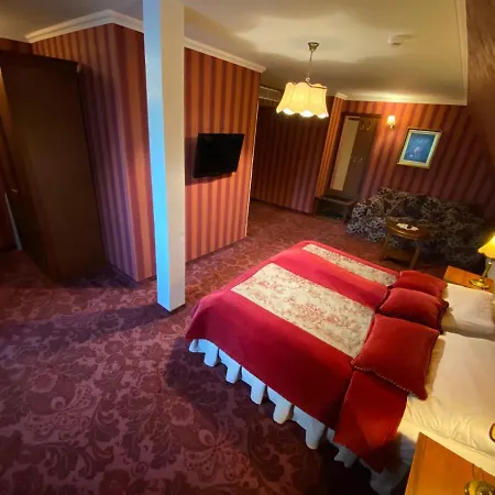 Hotel Pałac Borynia