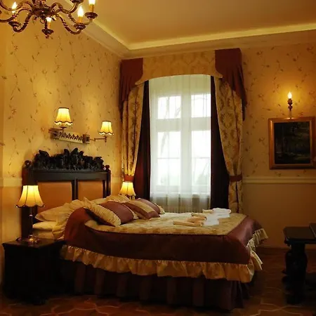 Hotel Palac Borynia