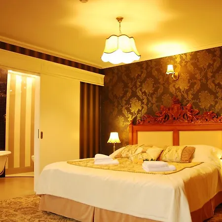 호텔 Palac Borynia