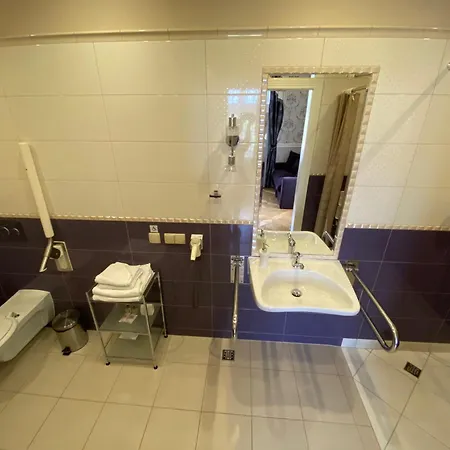 Palac Borynia Готель