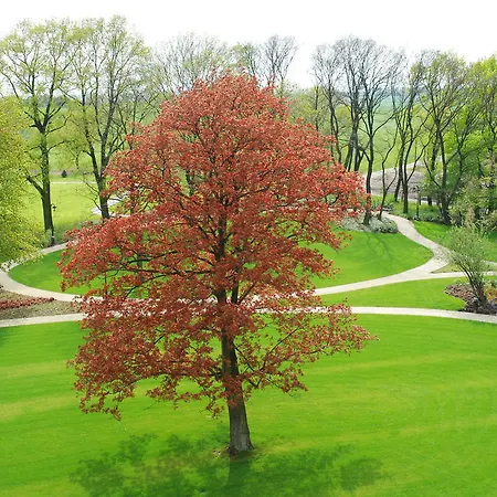 Palac Borynia Jastrzębie Zdrój