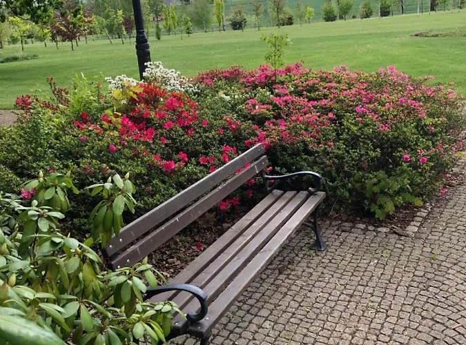 Palac Borynia Jastrzębie Zdrój