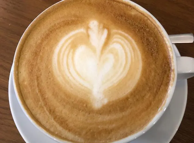 מלון Palac Borynia 3*