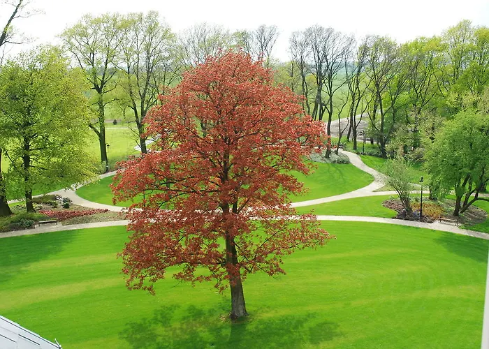 Palac Borynia Jastrzębie Zdrój